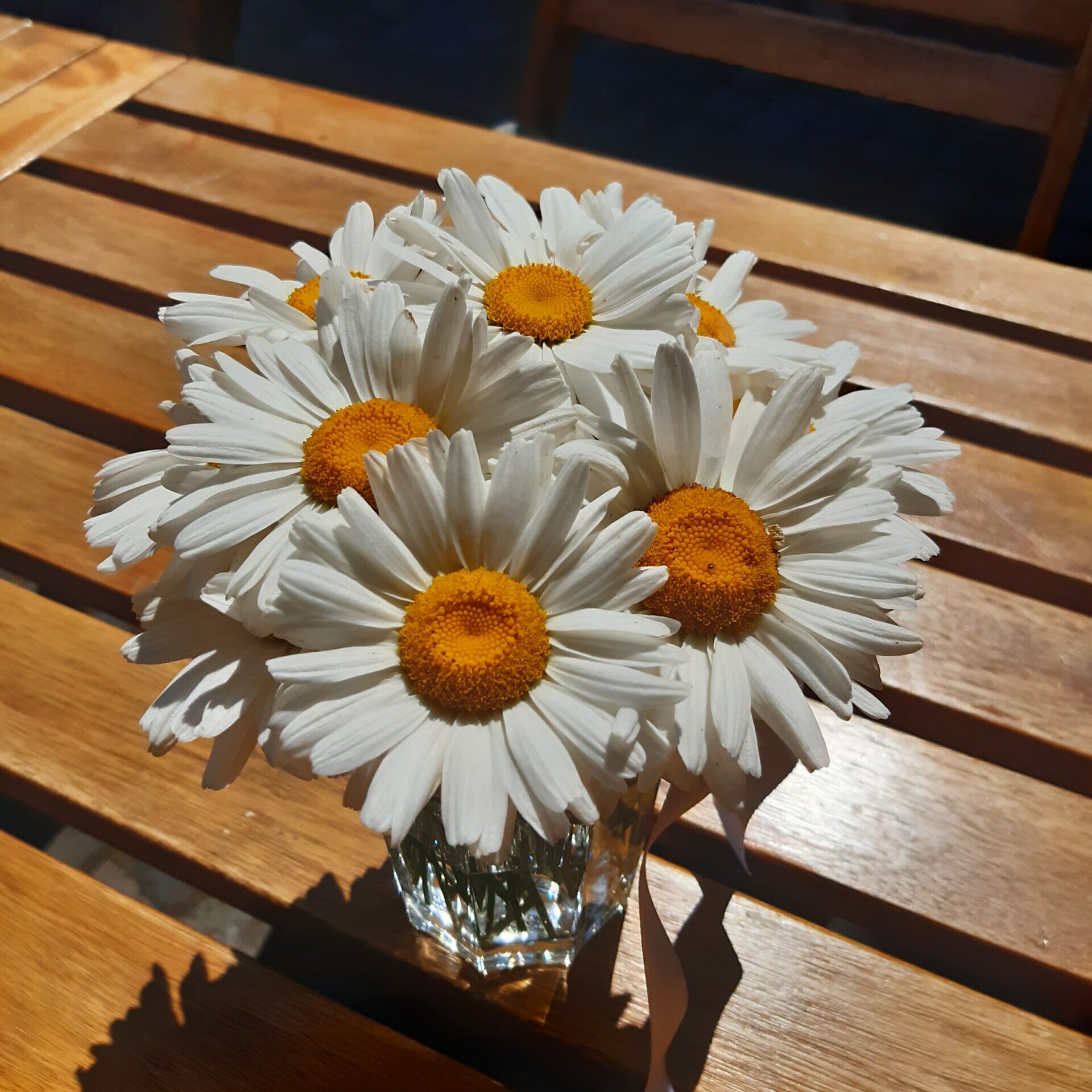Sommer-Wein-Paket